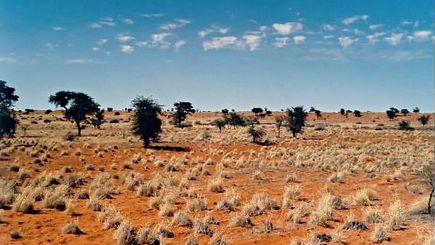 Untouched Botswana with Zambia's National Parks & Victoria Falls